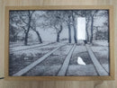 Illuminated Picture
