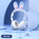 files/e3d4fa51-00a8-4e80-a082-6dda0226ceed.jpg
